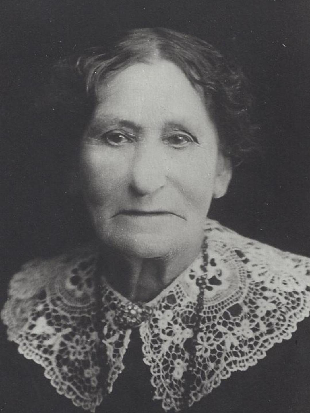 Sarah Ann Fowlke (1845 - 1919) Profile